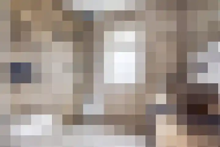 Julianaweg 41 Utrecht thumbnail 27