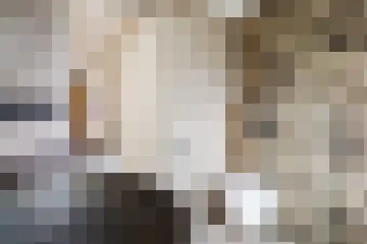 Julianaweg 41 Utrecht thumbnail 29