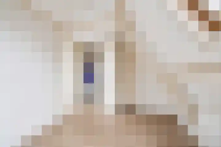 Julianaweg 41 Utrecht thumbnail 35