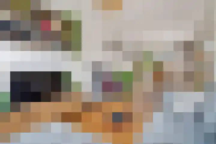 Julianaweg 41 Utrecht thumbnail 4