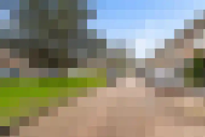 Julianaweg 41 Utrecht thumbnail 45