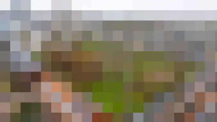 Julianaweg 41 Utrecht thumbnail 49