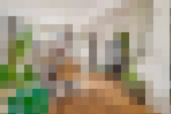 Julianaweg 41 Utrecht thumbnail 8