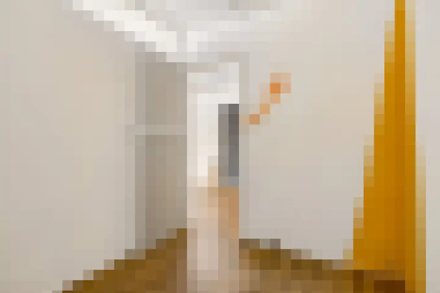Julianaweg 414 Utrecht thumbnail 11