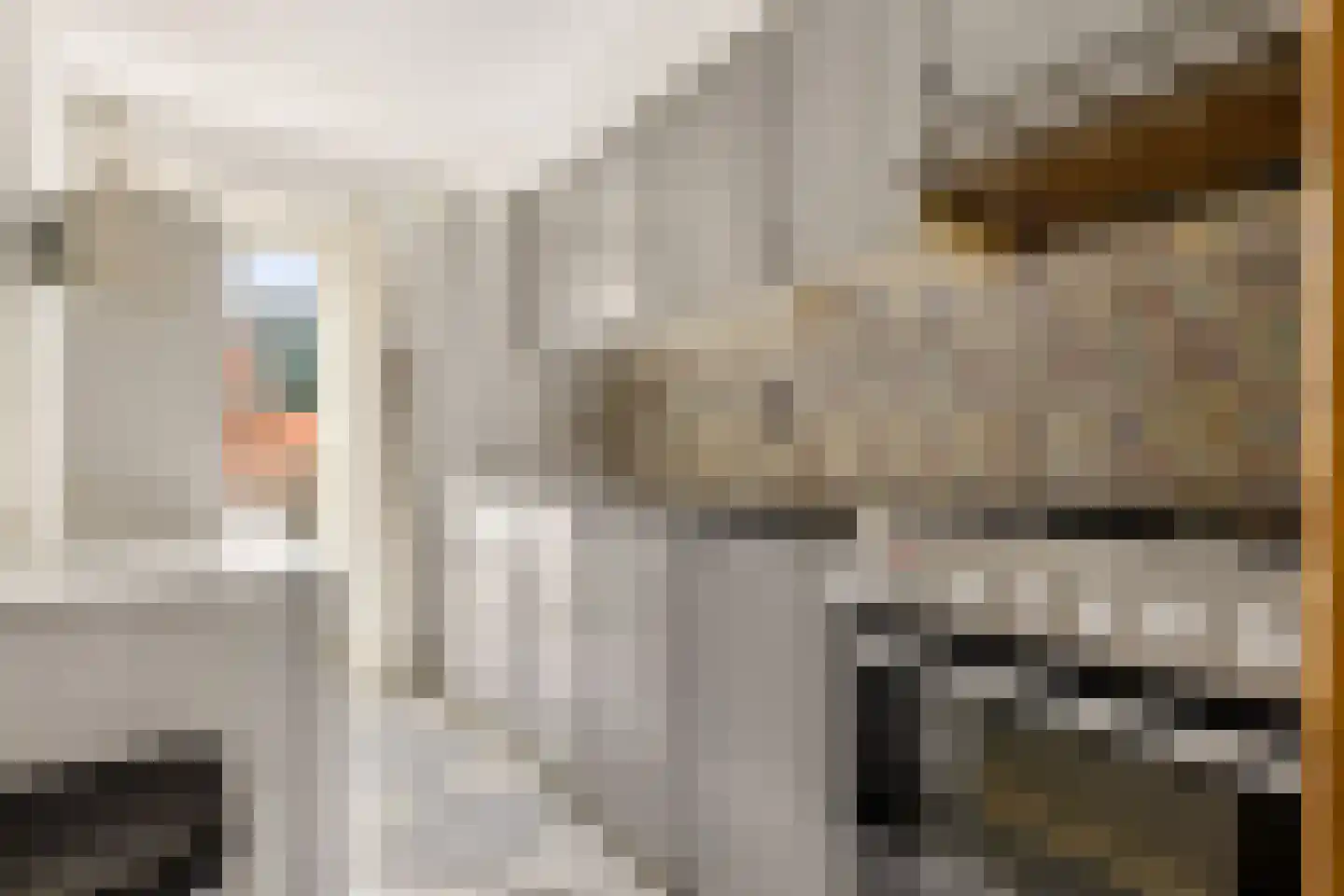Julianaweg 414 Utrecht thumbnail 24