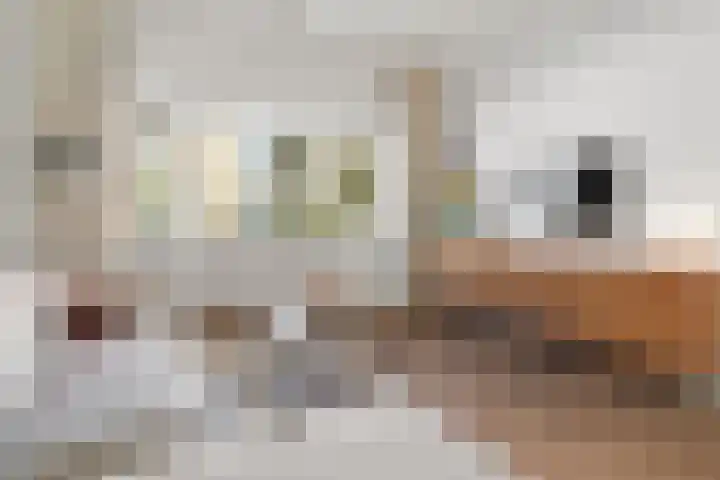 Julianaweg 42 Nieuwegein thumbnail 12