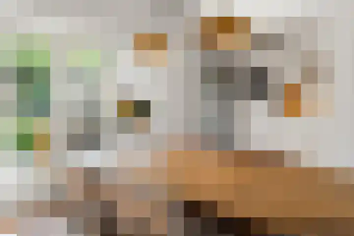 Julianaweg 42 Nieuwegein thumbnail 15