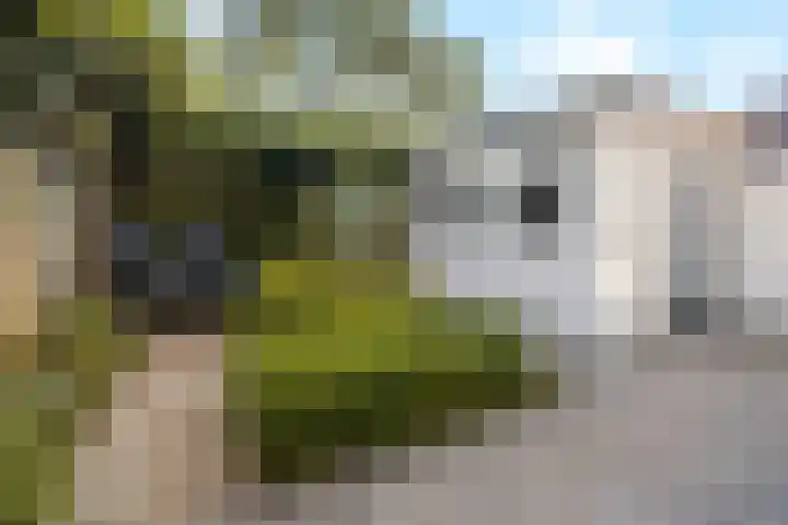 Julianaweg 42 Nieuwegein thumbnail 21