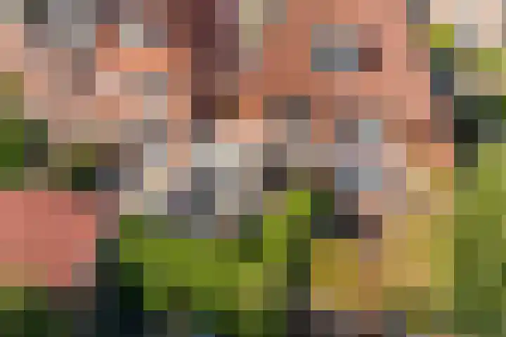Julianaweg 42 Nieuwegein thumbnail 22