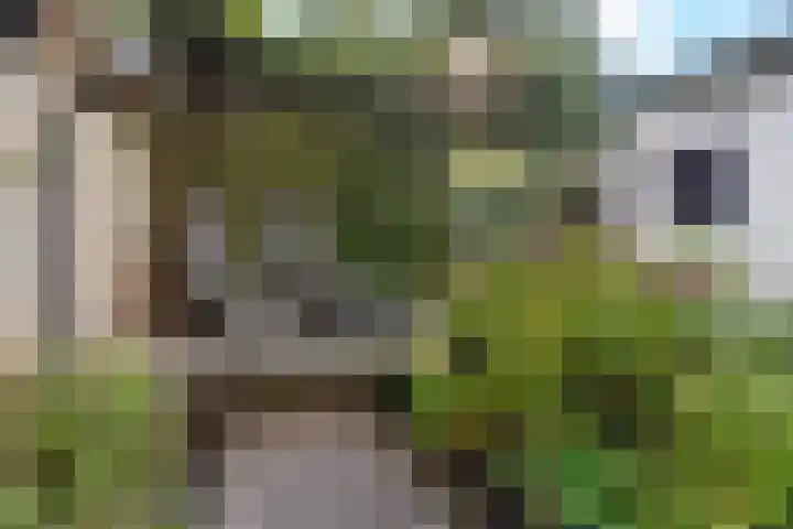 Julianaweg 42 Nieuwegein thumbnail 23