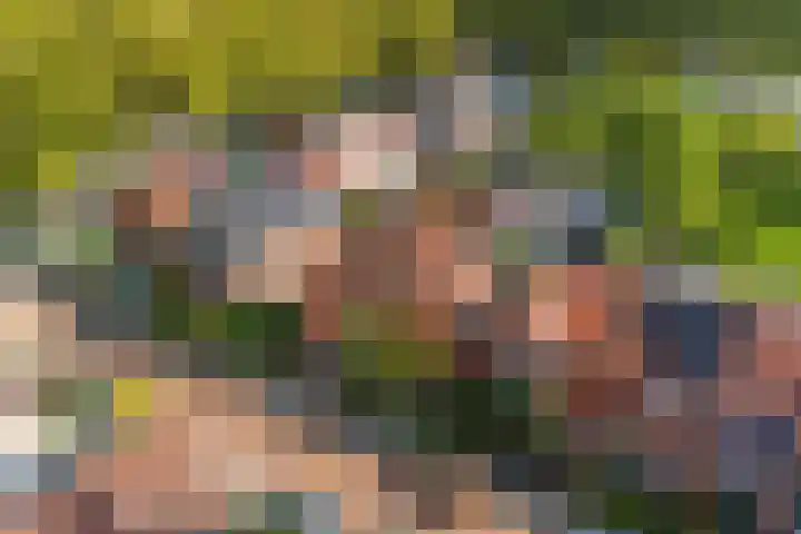 Julianaweg 42 Nieuwegein thumbnail 38