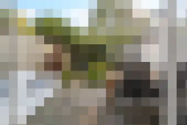 Julianaweg 42 Nieuwegein thumbnail 4