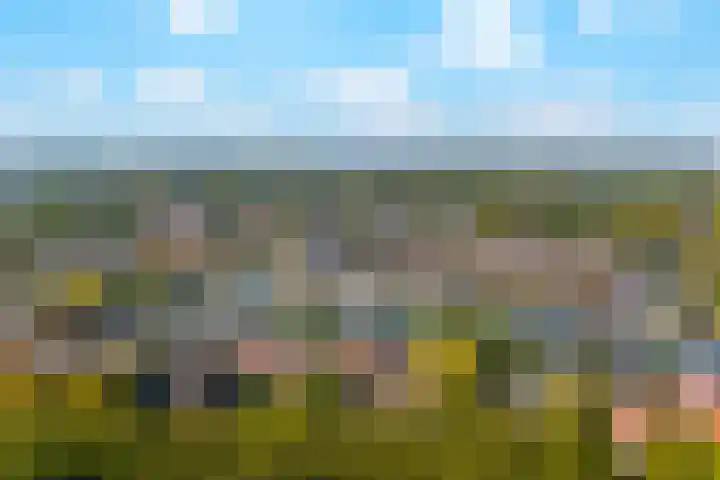 Julianaweg 42 Nieuwegein thumbnail 41