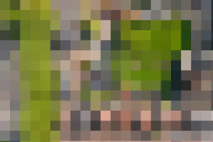 Julianaweg 42 Nieuwegein thumbnail 42