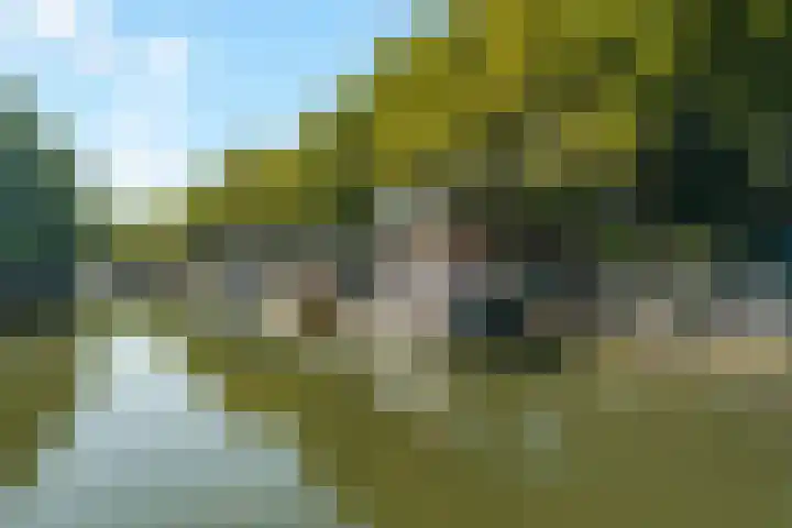Julianaweg 42 Nieuwegein thumbnail 44