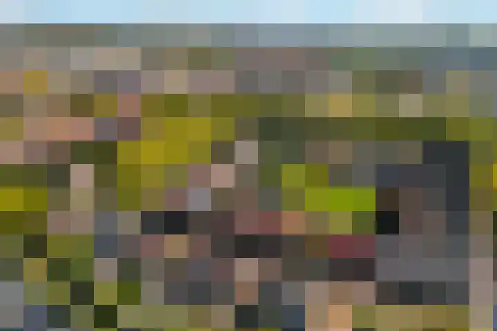 Julianaweg 42 Nieuwegein thumbnail 6