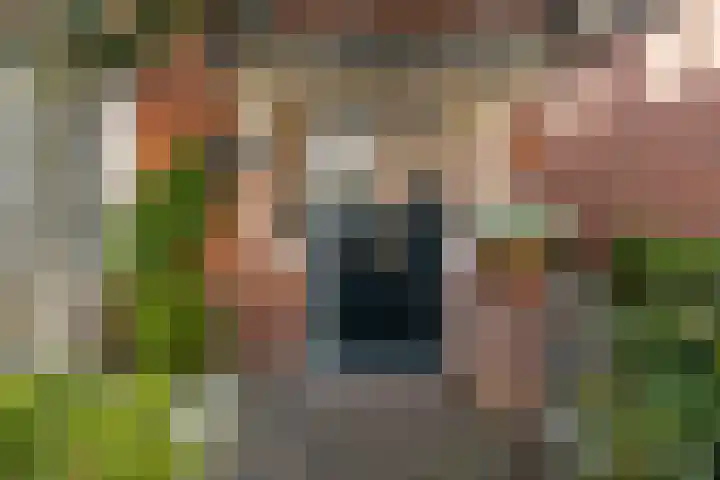 Julianaweg 42 Nieuwegein thumbnail 8