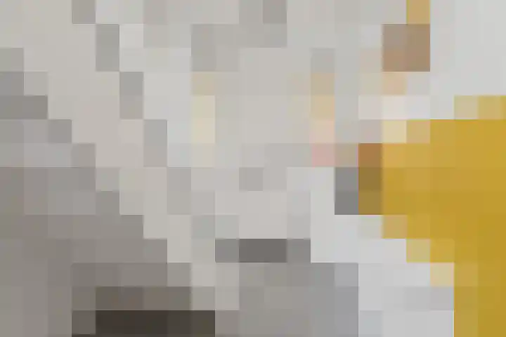 Julianaweg 42 Nieuwegein thumbnail 9