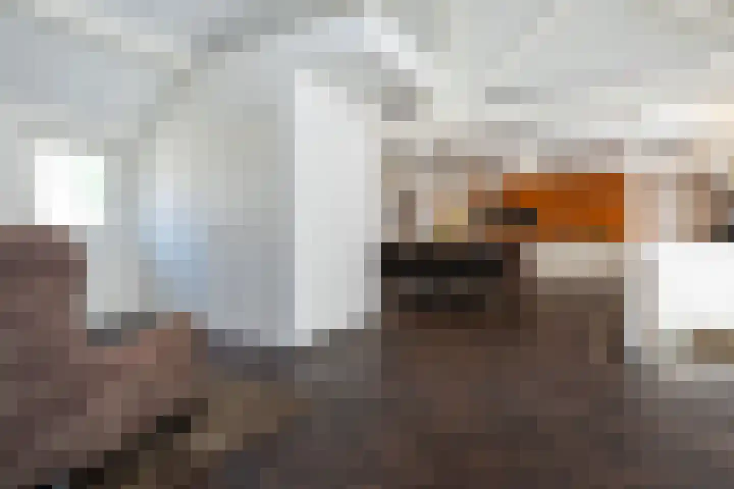 Julianaweg 43 Melissant thumbnail 11