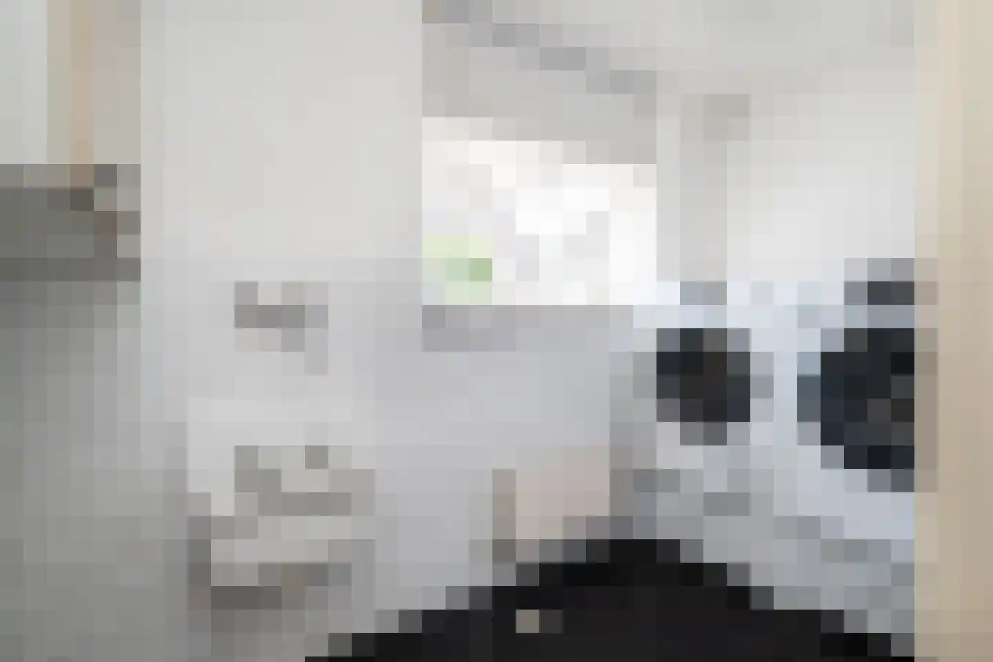 Julianaweg 43 Melissant thumbnail 15