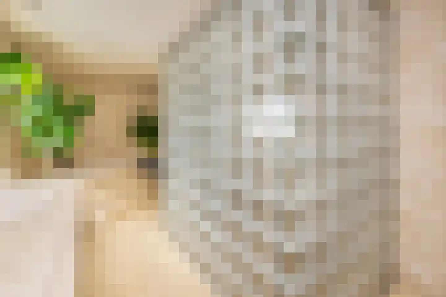 Julianaweg 43 Melissant thumbnail 17