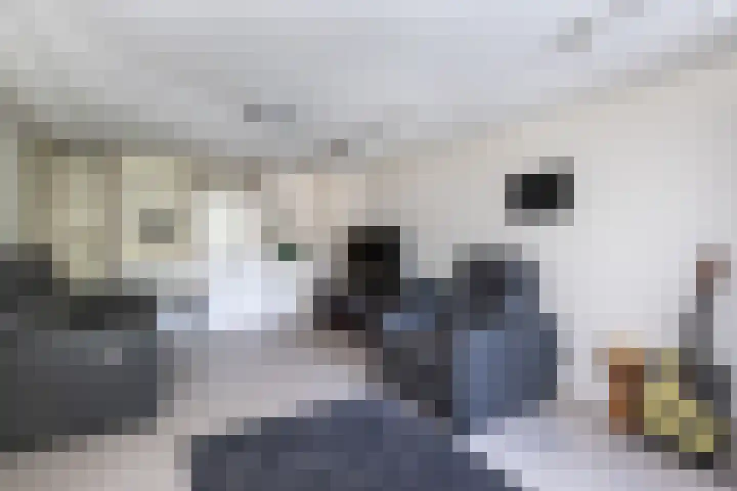 Julianaweg 43 Melissant thumbnail 21