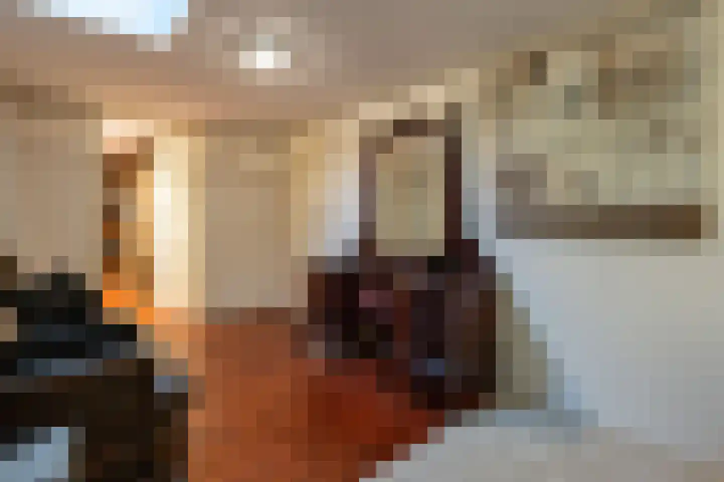 Julianaweg 43 Melissant thumbnail 21