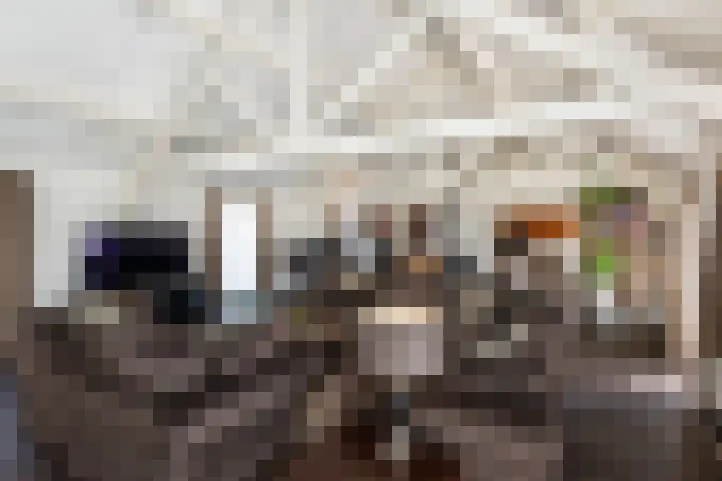 Julianaweg 43 Melissant thumbnail 29