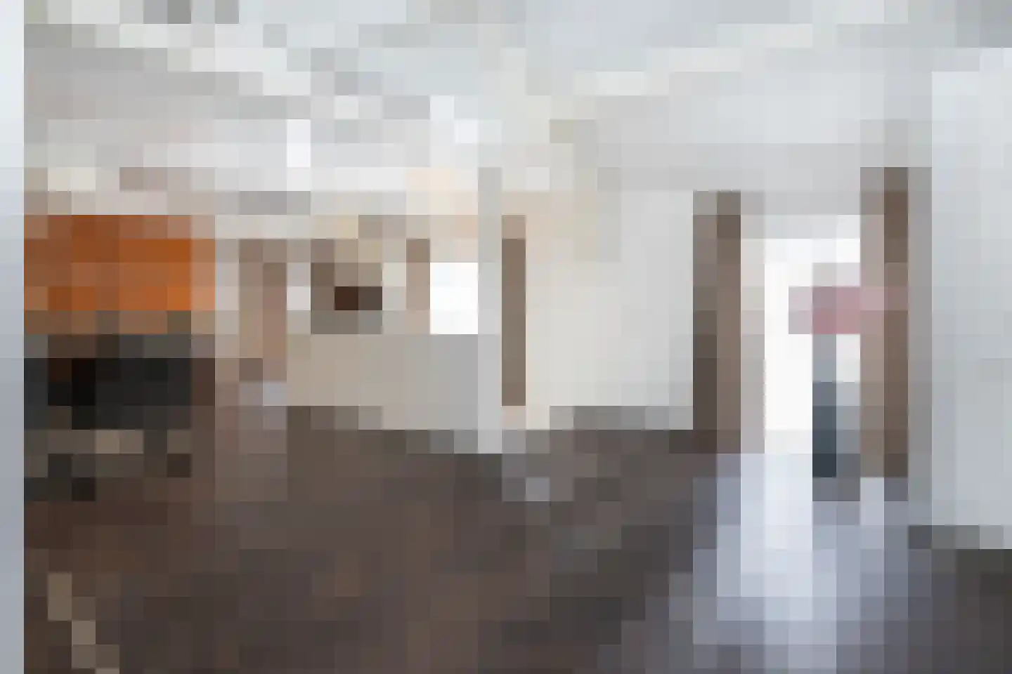 Julianaweg 43 Melissant thumbnail 30
