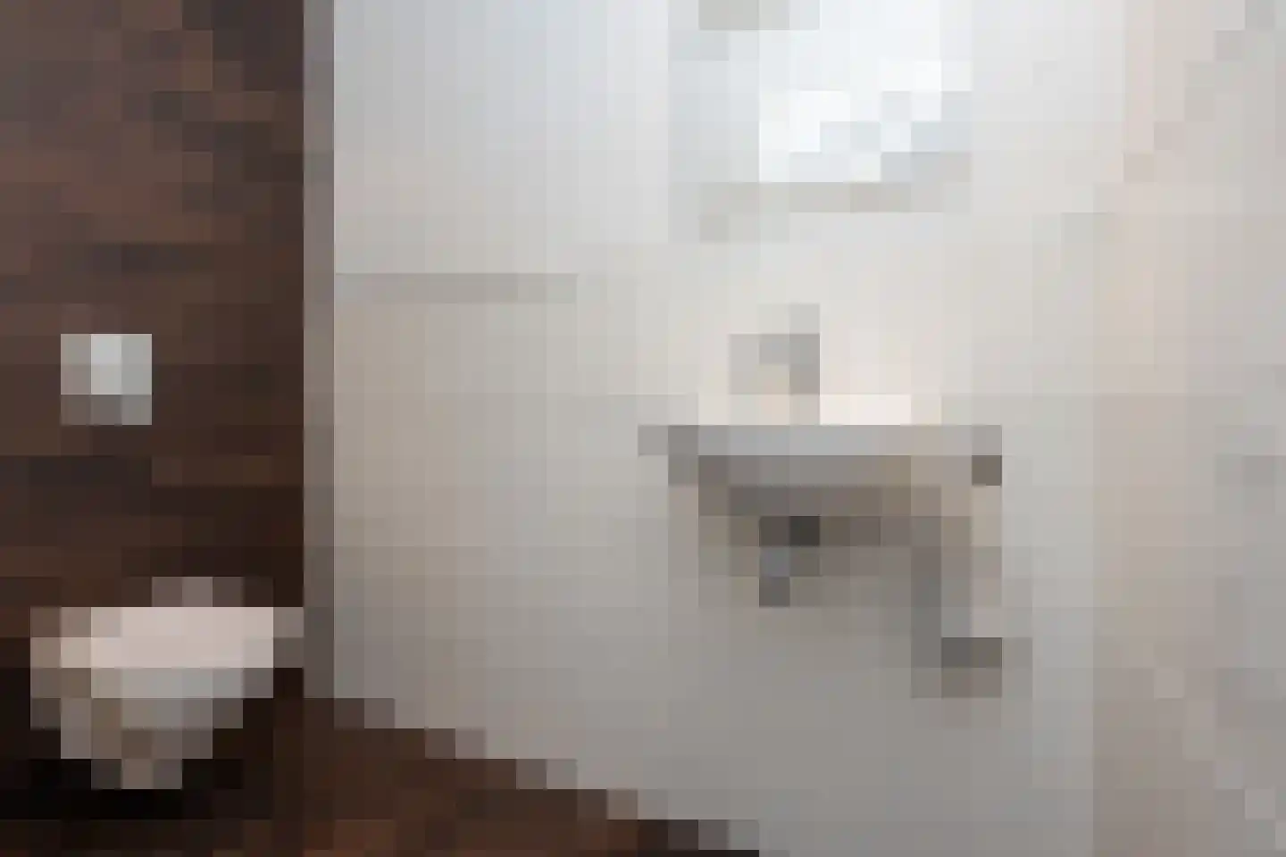 Julianaweg 43 Melissant thumbnail 31