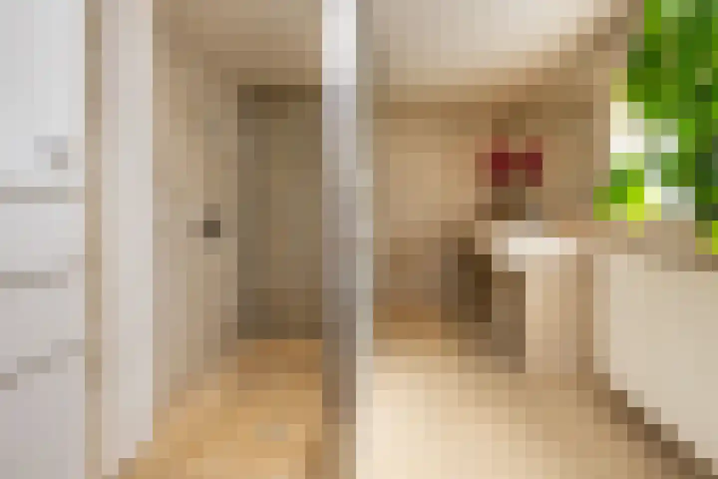 Julianaweg 43 Melissant thumbnail 32