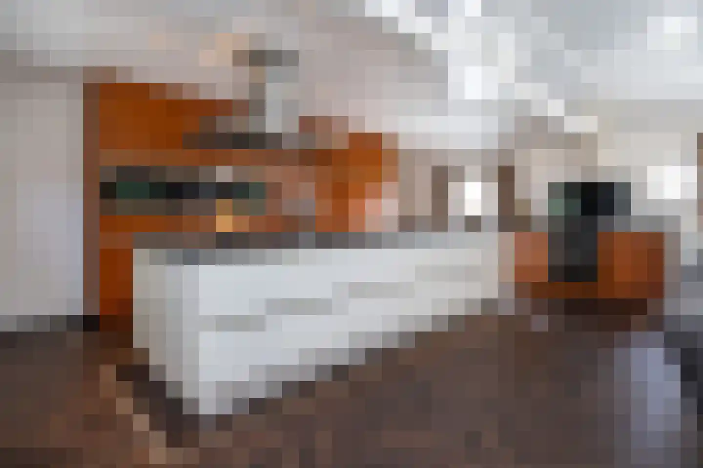 Julianaweg 43 Melissant thumbnail 34