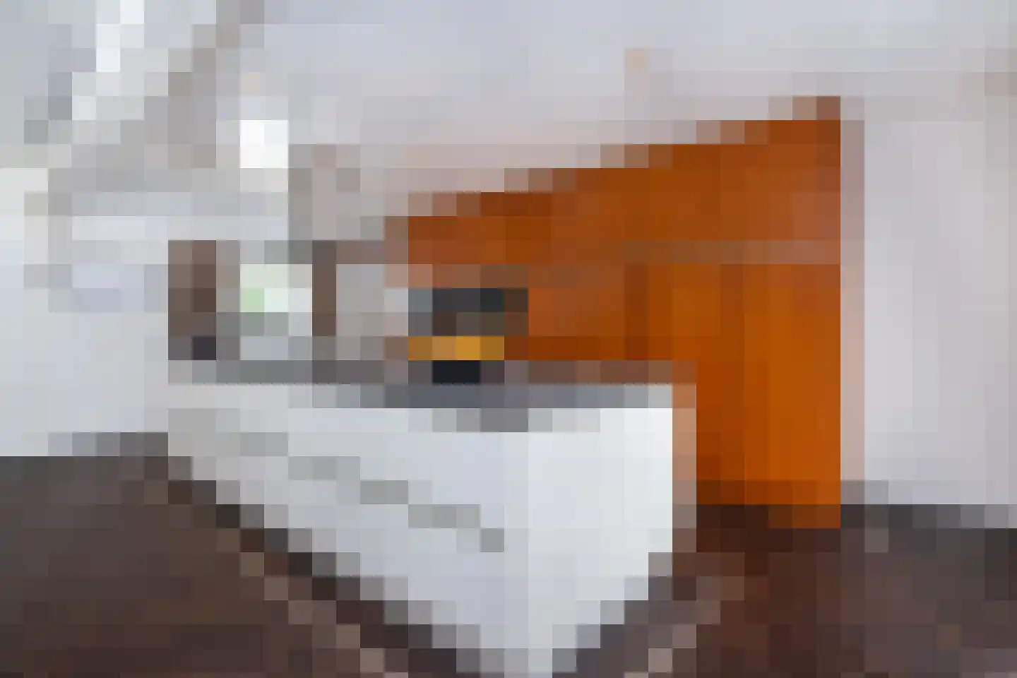 Julianaweg 43 Melissant thumbnail 35