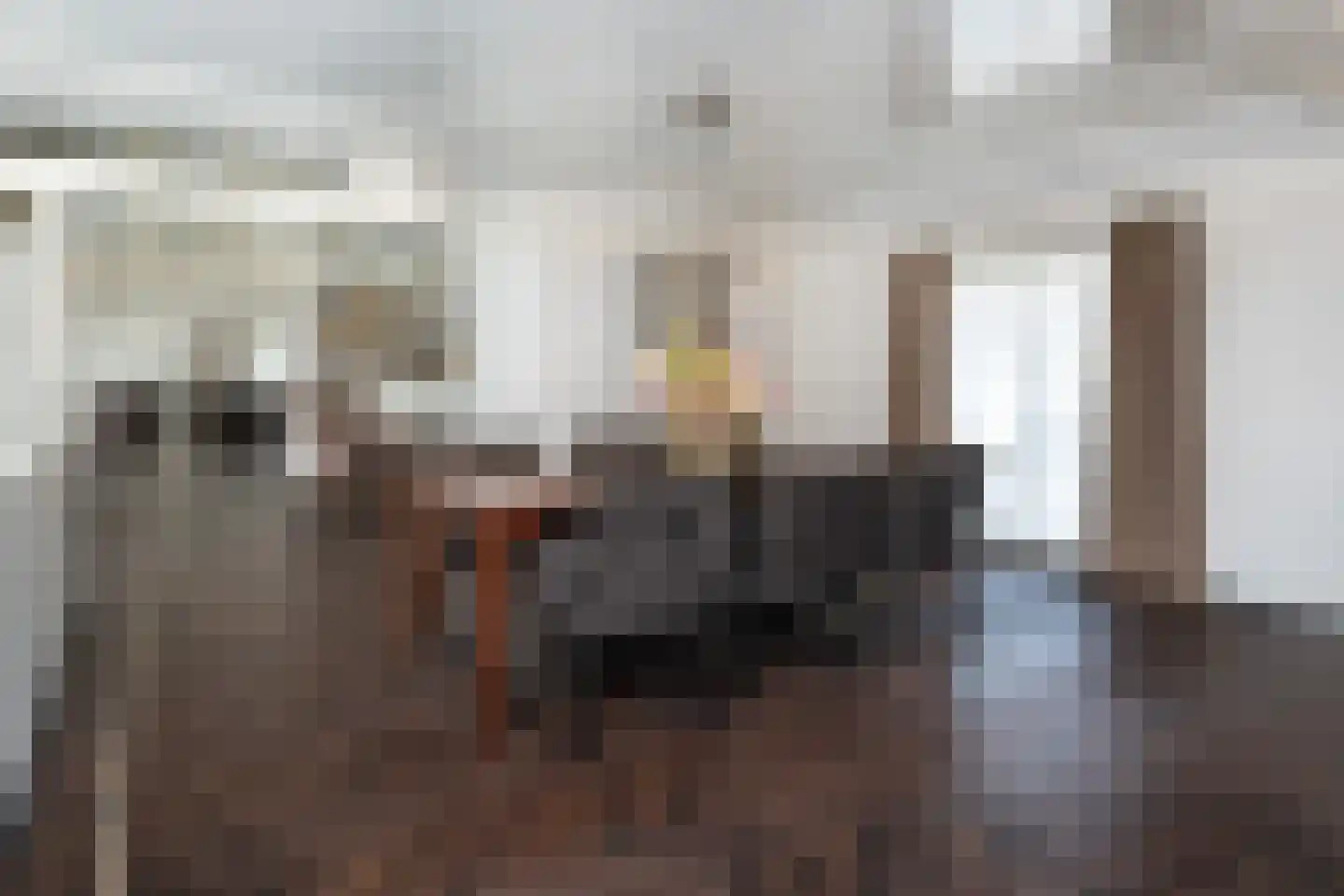 Julianaweg 43 Melissant thumbnail 36