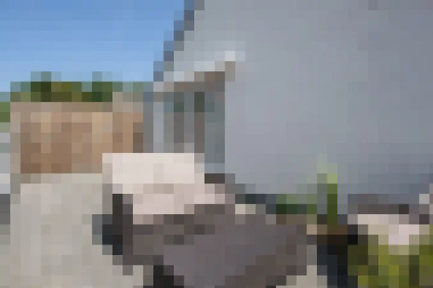 Julianaweg 43 Melissant thumbnail 46