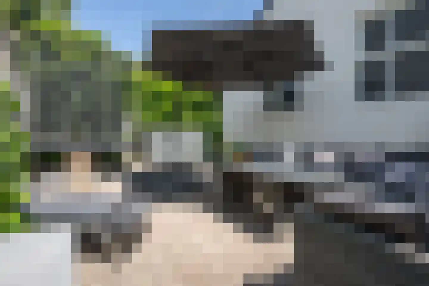 Julianaweg 43 Melissant thumbnail 49
