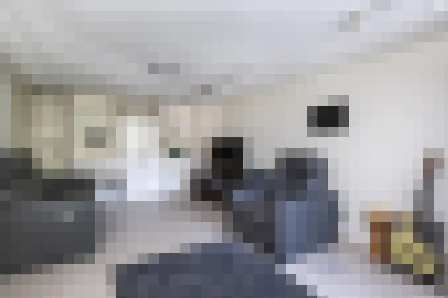 Julianaweg 43 Melissant thumbnail 8