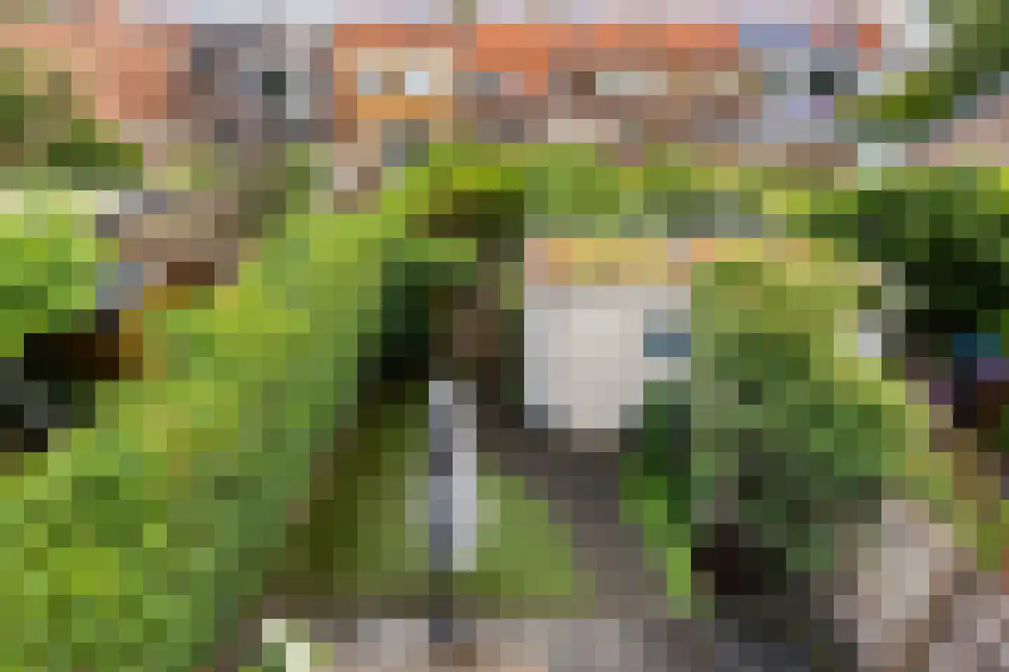 Julianaweg 433 Utrecht thumbnail 24