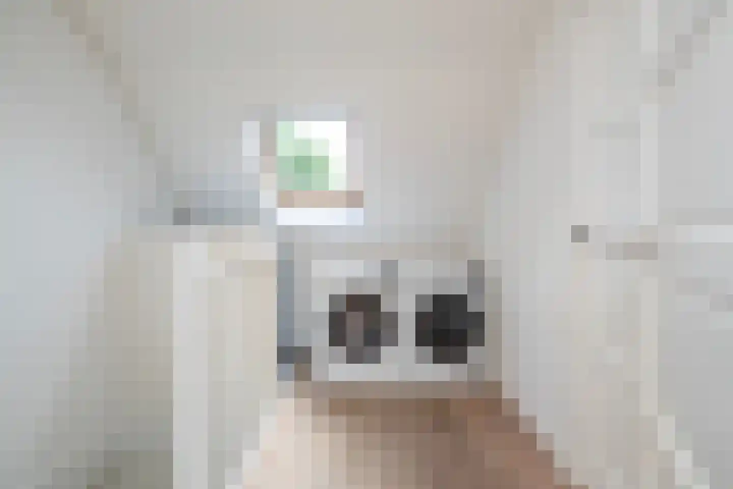 Julianaweg 433 Utrecht thumbnail 39