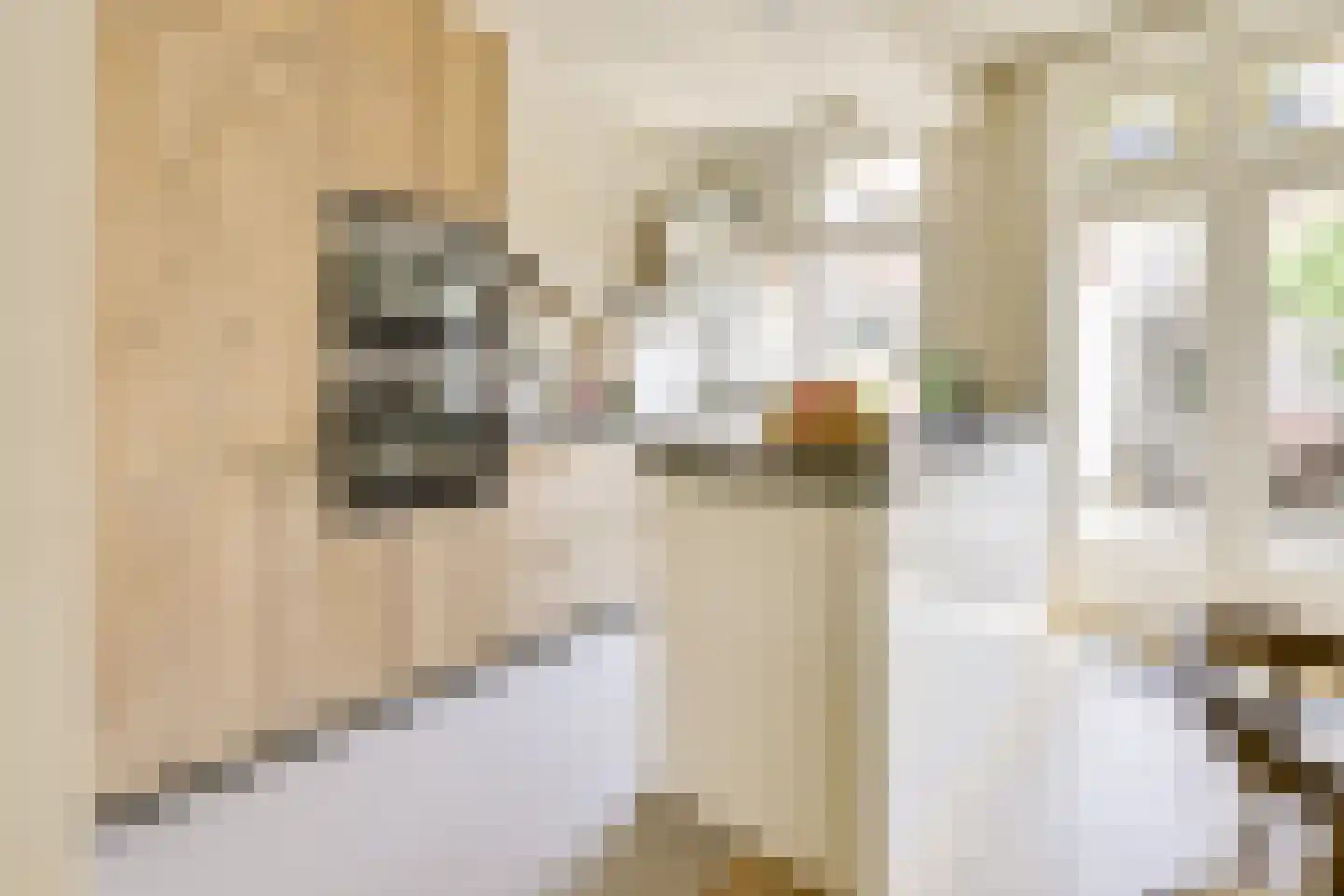 Julianaweg 436 Utrecht thumbnail 14