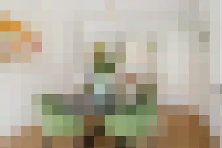 Julianaweg 436 Utrecht thumbnail 14