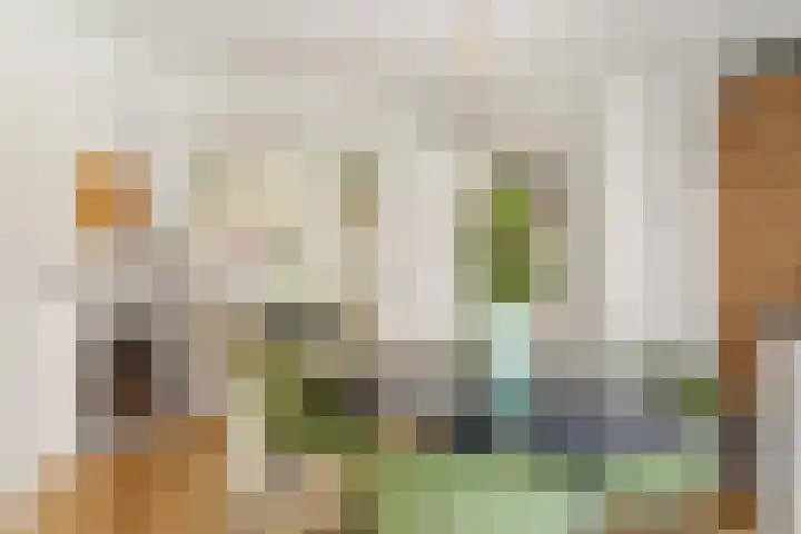 Julianaweg 436 Utrecht thumbnail 15