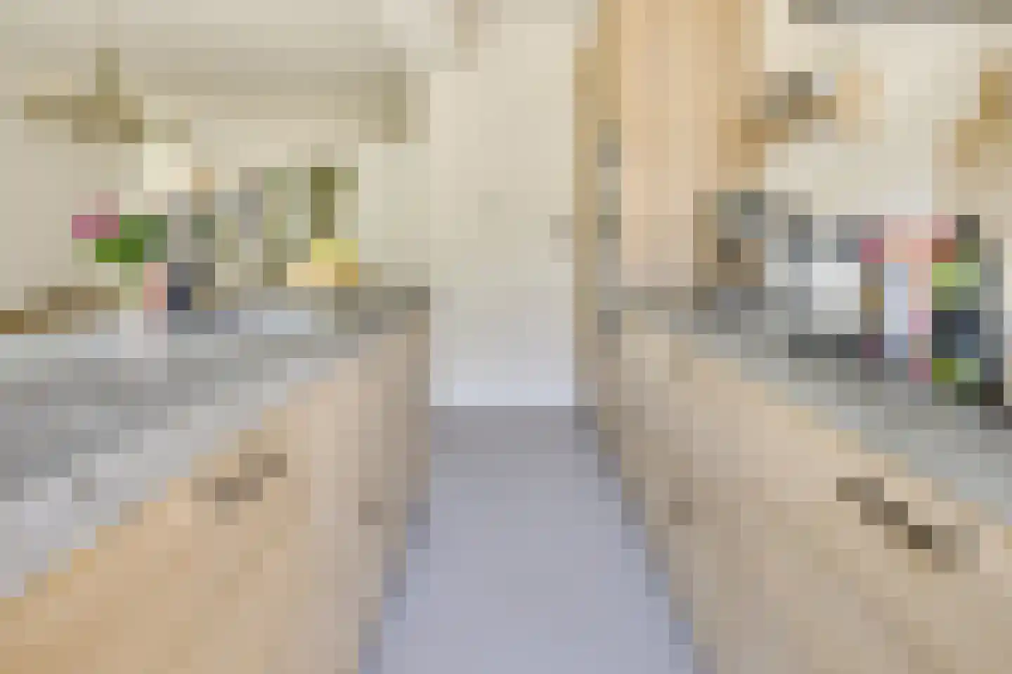 Julianaweg 436 Utrecht thumbnail 15
