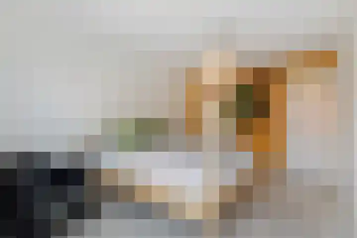 Julianaweg 436 Utrecht thumbnail 22