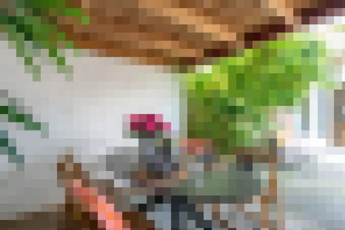 Julianaweg 436 Utrecht thumbnail 23
