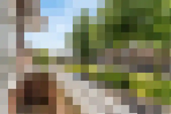 Julianaweg 436 Utrecht thumbnail 23