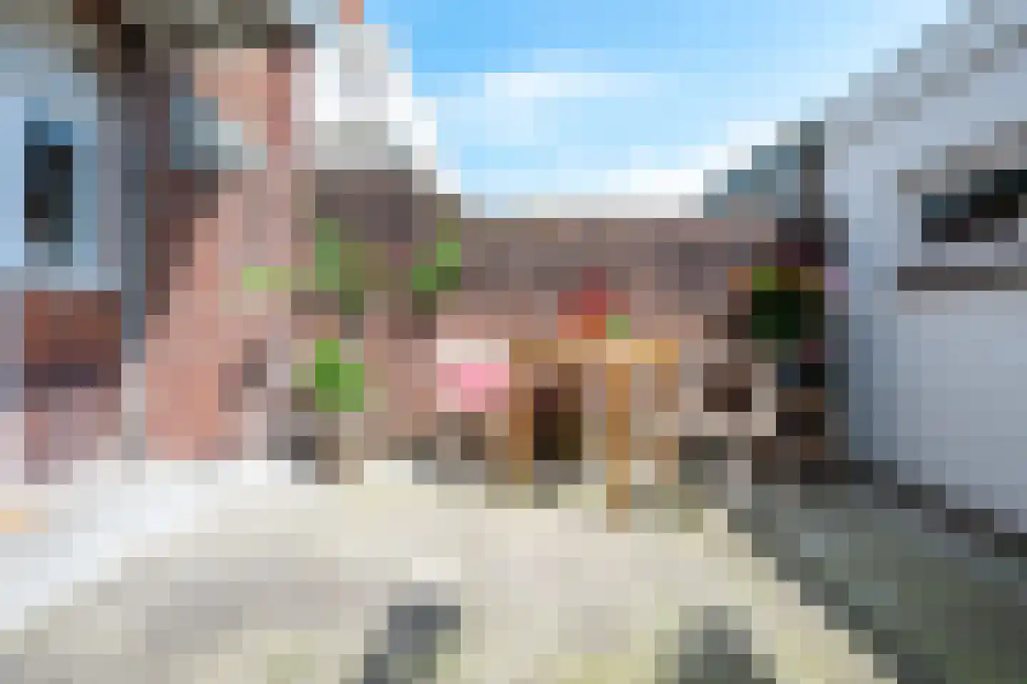 Julianaweg 436 Utrecht thumbnail 24