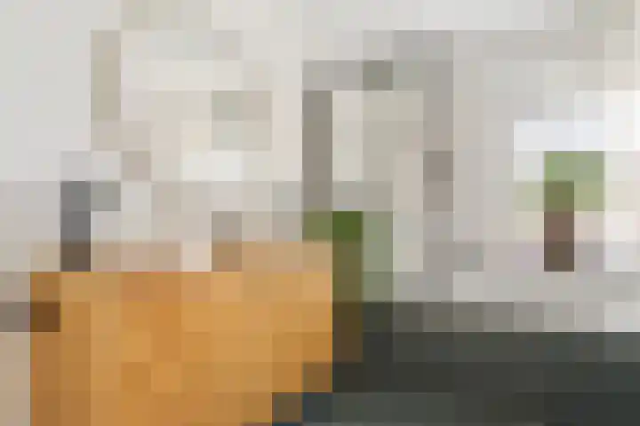 Julianaweg 436 Utrecht thumbnail 25
