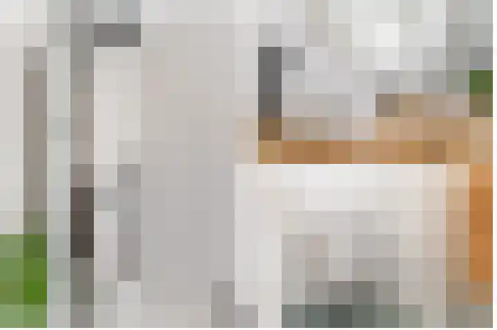 Julianaweg 436 Utrecht thumbnail 26