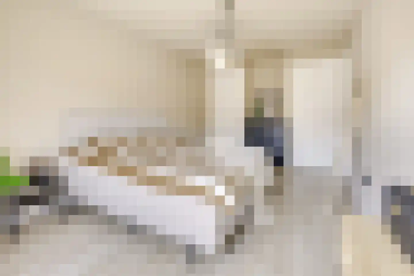Julianaweg 436 Utrecht thumbnail 31